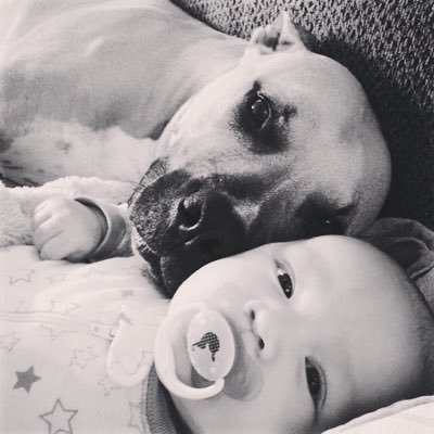 Profile Picture of Kristi Gratchic (@ThePaperieAttic) on Twitter