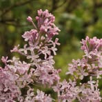 Profile Picture of Erika Eaton (@Erika-Eaton) on Facebook