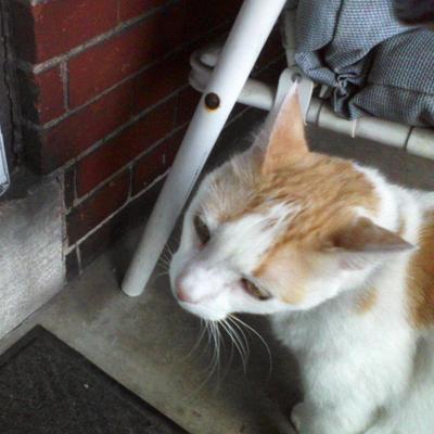 Profile Picture of CHARLES BOYER (@charlesboyer4) on Twitter