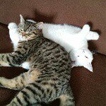 Profile Picture of Michael (@immeles) on Instagram