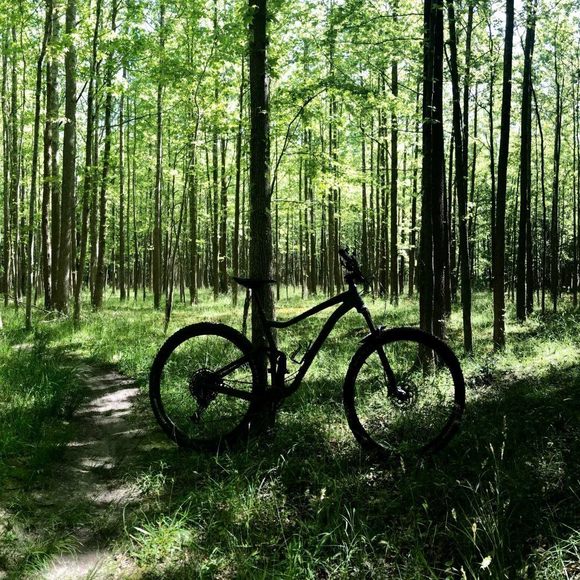 Profile Picture of Jason Perry (@jperry8215) on Poshmark