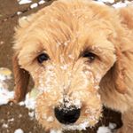 Profile Picture of Nikki Hendrix (@holistic.solace) on Instagram