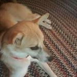 Profile Picture of Chris Radley (@radley_chris) on Instagram