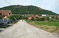 Profile Picture of Lopadea Nouăon Wikipedia