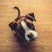 Profile Picture of Çheryl Schubert (@cherylschubert96) on Pinterest