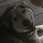 Profile Picture of Crystal&Mark Vestal (@crystalmarkv) on Instagram