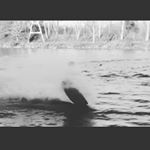 Marvin Hagen - Instagram Profile Picture of Marvin Hagen (@marvin_hag) on Instagram