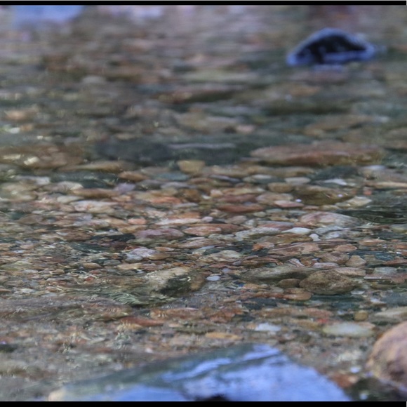 Profile Picture of Madi Slaymaker (@madislaymaker) on Poshmark