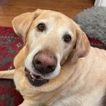 Profile Picture of Amy Hebert (@amy.hebert.92) on Instagram