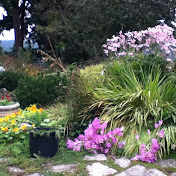 Profile Picture of Judith Wannall-Courtwright (@judycourtwright) on Youtube