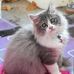 Profile Picture of Shaharuddin (@shaharuddin.shaharuddin.31) on Facebook