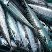 Profile Picture of Jacob Sanderson (@warmsaltyface) on Youtube