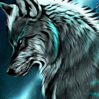 Profile Picture of Robert Almanzar (@RobertAdrian212) on Twitter