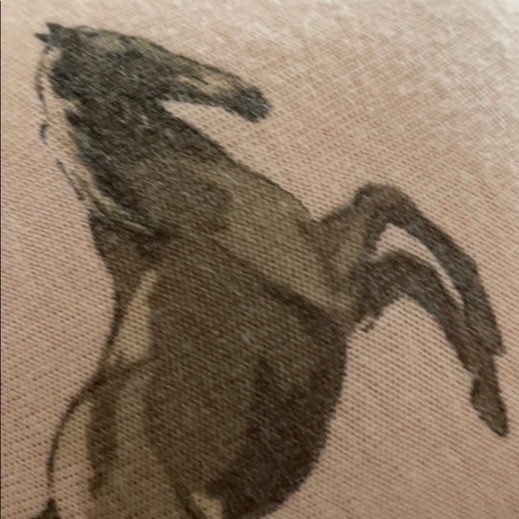 Profile Picture of Kate Dolak (@akqj10spades) on Poshmark