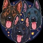 Profile Picture of Gianna (@canine.counterparts) on Instagram