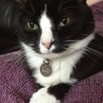 Profile Picture of Jo-Ann McArdle (@joann_mcardle) on Instagram