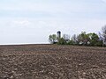 Profile Picture of Sibley, Iowa - Wikipediaon Wikipedia