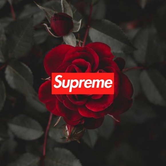 Isaac Martinez - Poshmark Profile Picture of Isaac Martinez (@d3ad_man_13) on Poshmark