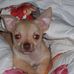 Profile Picture of Sharon Ireland (@sharon.ireland.1232) on Facebook