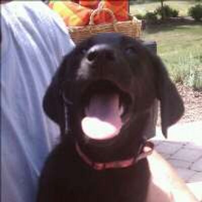 Profile Picture of Tim Hathaway (@milwakjim) on Twitter