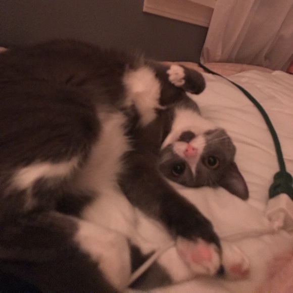 Profile Picture of Lucy Newcombe (@lucyhope766) on Poshmark