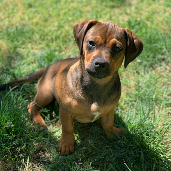 Profile Picture of Emilio Ayala espinosa (@emayala802) on Poshmark