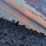 Profile Picture of Wesley O'Neill (@wesleyoneill2004) on Instagram