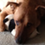 Profile Picture of Gary Chambers (@Gary R Chambers) on Flickr