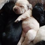 Profile Picture of Amit Babbar (@mr.babbar8854) on Instagram