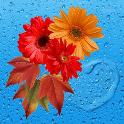 Profile Picture of Sarah Imhof (@sarahimhof) on Twitter