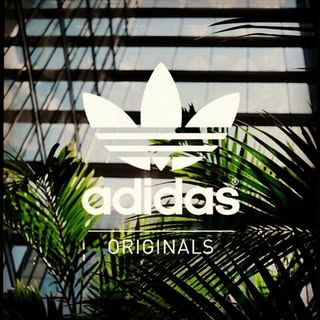 Profile Picture of lupe deanda (@deandalupe) on Instagram