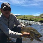 Tony Waldegrave - Instagram Profile Picture of Tony Waldegrave (@tonywaldegrave) on Instagram