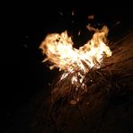 Profile Picture of Steven Tavarez (@steven.tavarez.790) on Facebook