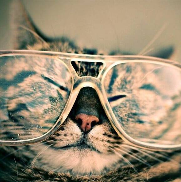 Profile Picture of Joey Reyes (@joey432reyes) on Poshmark