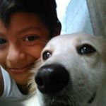 Aaron Misaki meza garcia - Instagram Profile Picture of Aaron Misaki meza garcia (@aaronmisakimeza) on Instagram