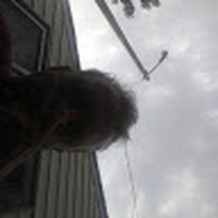 Profile Picture of David Eckstrom (@david-eckstrom-10) on Quora