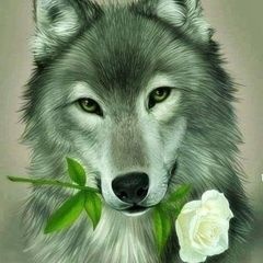 Profile Picture of mohamedjasser455 (@mohamedjasser455) on Tiktok