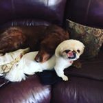 Profile Picture of Tanner Moody (@tannerleps22) on Instagram