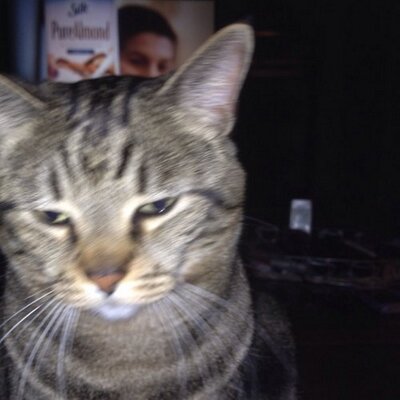 Profile Picture of Randy Hostetler (@RandyH_63) on Twitter