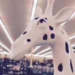 Profile Picture of MacKenzie Trueger (@_kenziemickrueger_) on Instagram