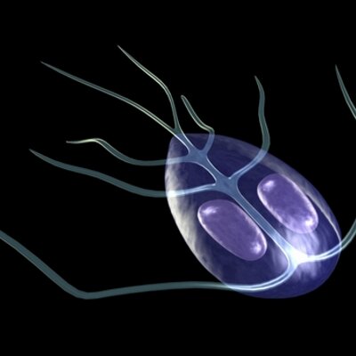 Profile Picture of Adrian Gabriel Pan (@AdrianGPan) on Twitter