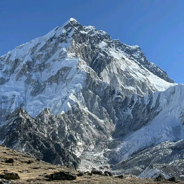 Profile Picture of Terry (@terrytan19951213) on Tiktok