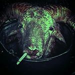 Profile Picture of Jonathan chad bowden (@lordchaddimussix6six) on Instagram