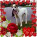 Profile Picture of Skip Campbell (@skip.campbell.3) on Facebook