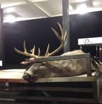 Profile Picture of Andrew Pate (@andrew.pate.94402) on Facebook