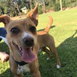Profile Picture of Eugene 🐶 (@eugene.cusack) on Instagram