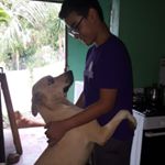 Profile Picture of cesar alberto vallecillo Velás (@cesaralbertovallecillovelas) on Instagram