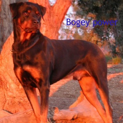 Profile Picture of Anne Albrecht (@annealbrecht19) on Twitter