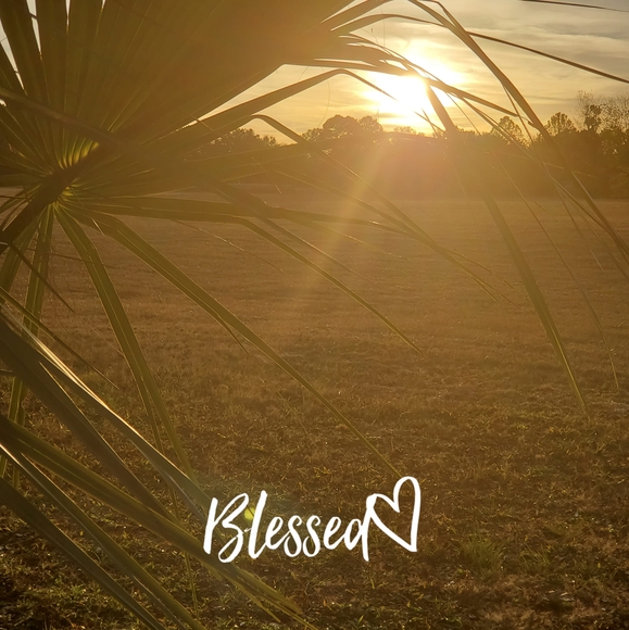 Profile Picture of Renee Downing (@reneedowning67) on Poshmark