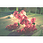 Profile Picture of Mihee Park (@gksmftoa) on Flickr